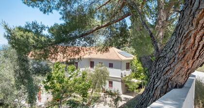 Maison de vacances 'Stone House In Katouna with Garden' avec jardin privé, Wi-Fi et climatisation