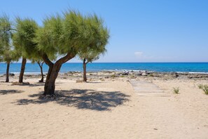 A beach with trees, a wooden walkway, and the ocean.