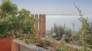 Un jardín con cerda de madera, plantas en macetas y vista al mar.