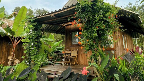 A rustic wooden structure with a tiled roof, surrounded by lush greenery and flowering plants.