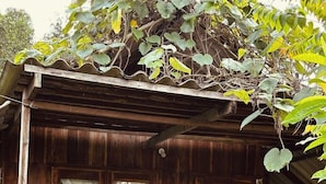 A rustic wooden cabin with a porch, two windows with curtains, and a bench.