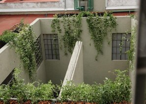 Exposed concrete exterior with lush greenery.