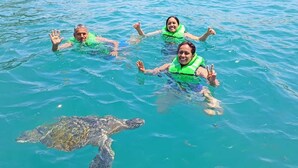 Three people in a body of water, wearing green life vests, with a sea turtle swimming nearby. - Hab21 Hotel in front of the sea, ideal to enjoy the sun and relax with Wifi and AC (Canoas de Punta Sal)