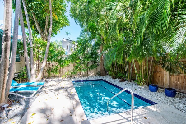 Uklassifisert bilde, 1 av 43, knapp