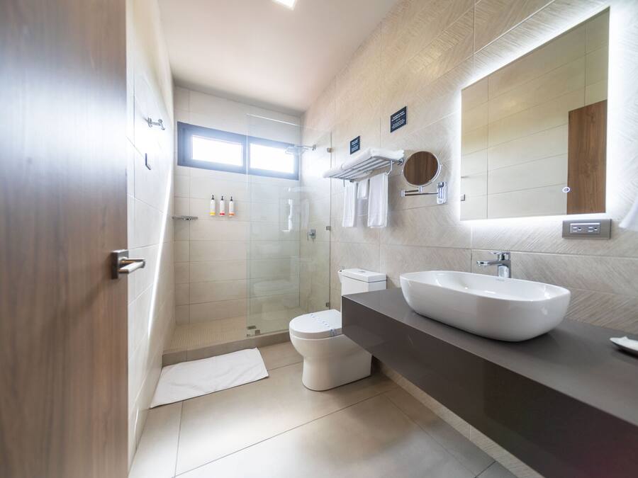 Habitación Premium doble, baño privado, vistas al jardín (One Queen Room 2.04) | Baño | Ducha, secador de pelo, toallas y jabón