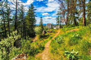 A forested area with a dirt path leading to a building with multiple floors.