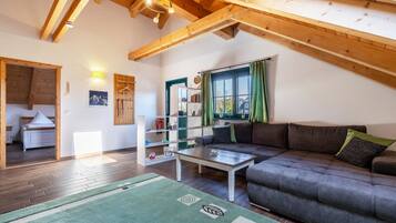 Fernseher, Tischtennisplatte