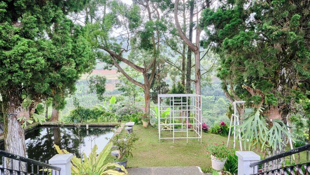 A garden with a pond, a white metal gate, and various plants.