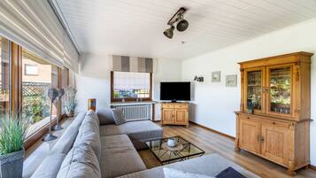 Télévision, cheminée, lecteur de DVD