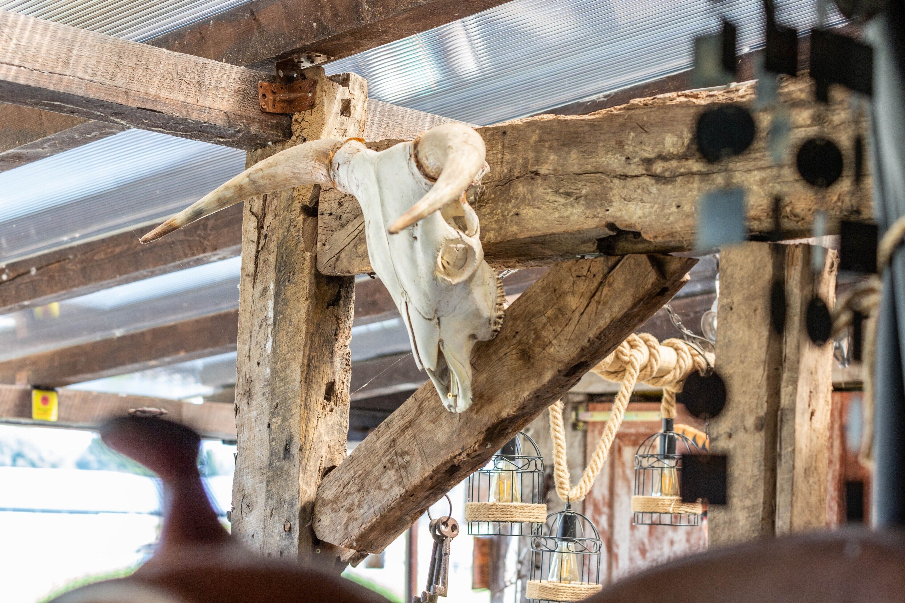 A rustic interior with a wooden ceiling, a cow skull mounted on a beam, and lantern-style lighting fixtures.