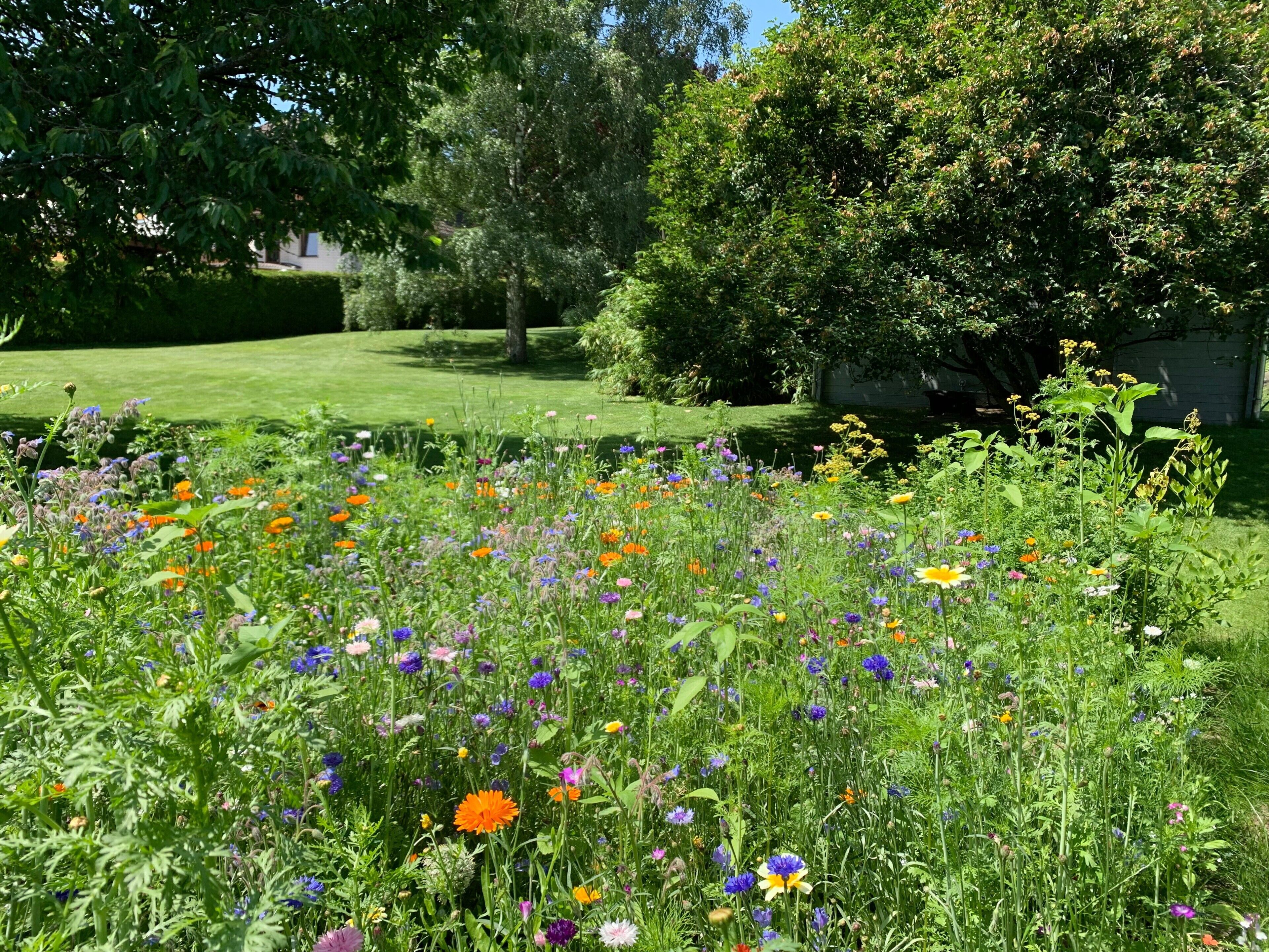 Áreas de la propiedad