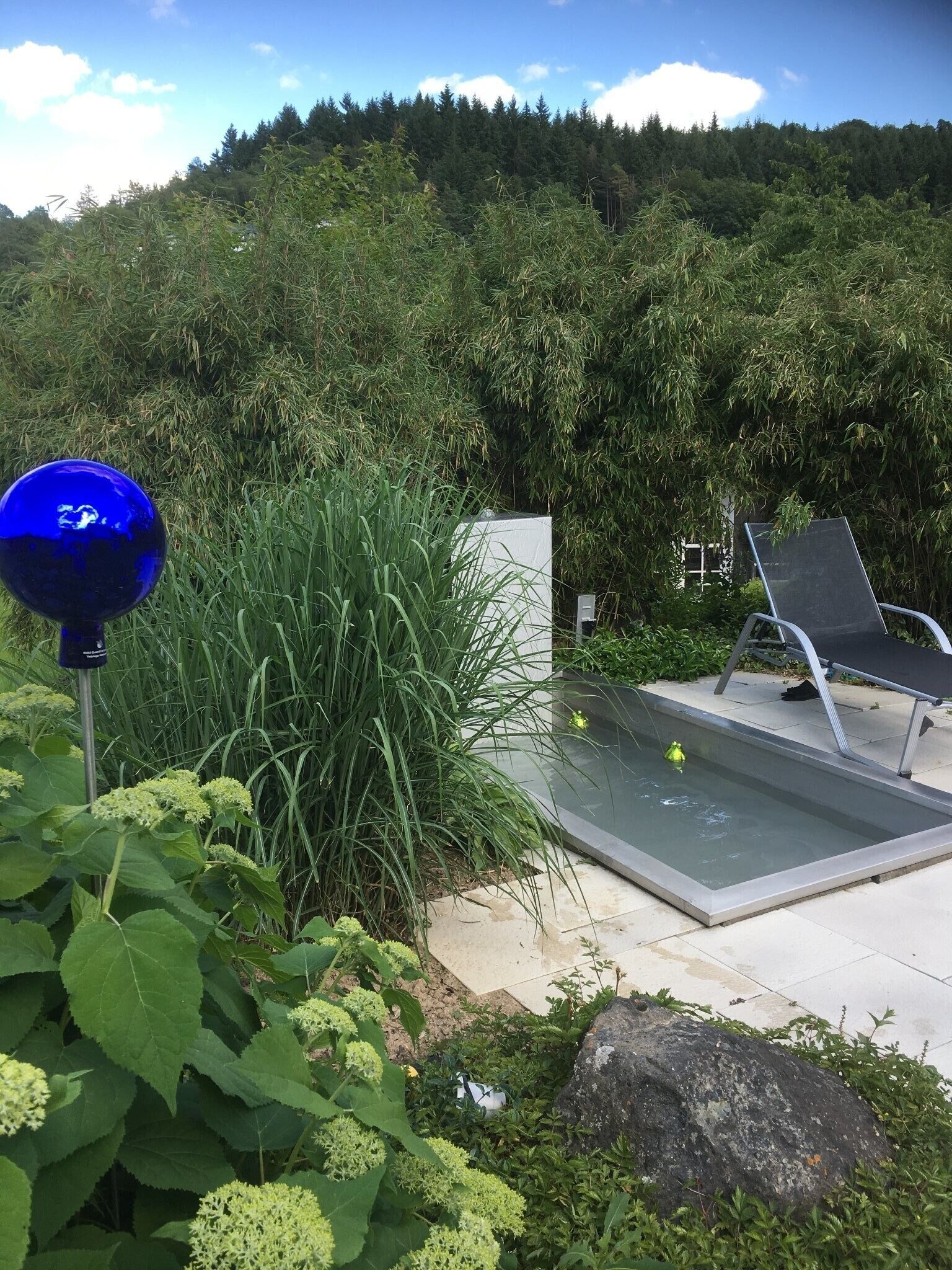 Zona de piscina con una silla y un objeto azul, rodeada de vegetación y una colina boscosa al fondo.