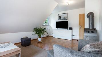 Televisión y chimenea