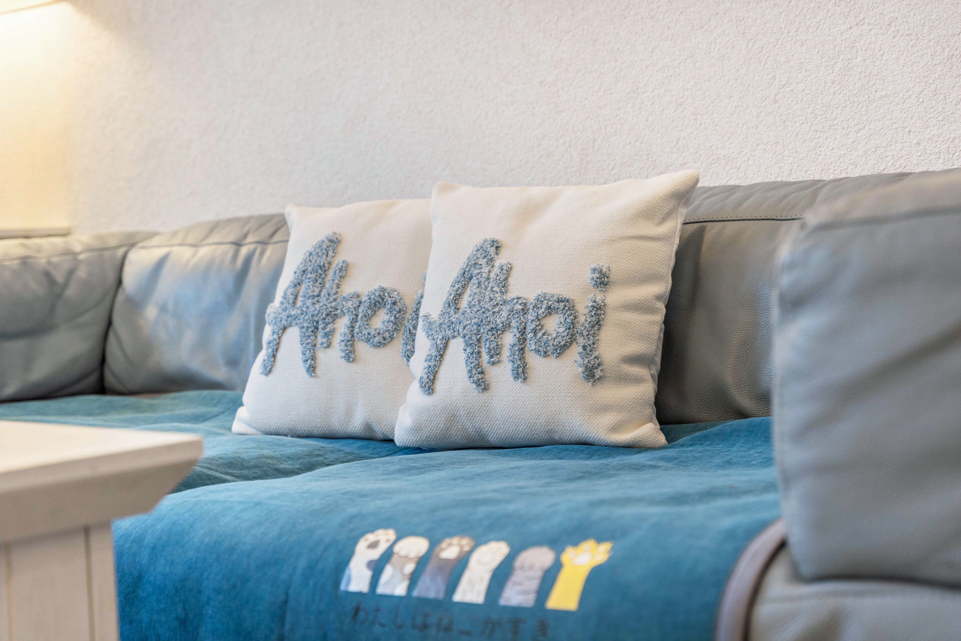 A sofa with two pillows, one with a blue embroidered design and another with a white design.