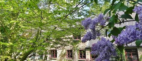 Terrein van de accommodatie