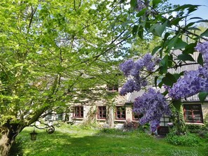 Een huis met een tuin, een boom met paarse bloemen en een hangende lantaarn.
