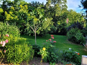 Un jardin avec différentes plantes et fleurs, une pelouse et des arbres en arrière-plan.
