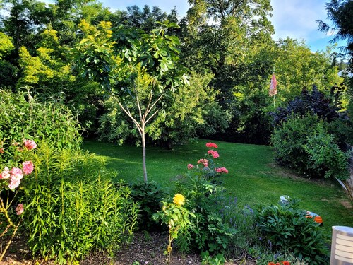 Ferienwohnung Brixius" mit privater Terrasse, privatem Garten und WLAN