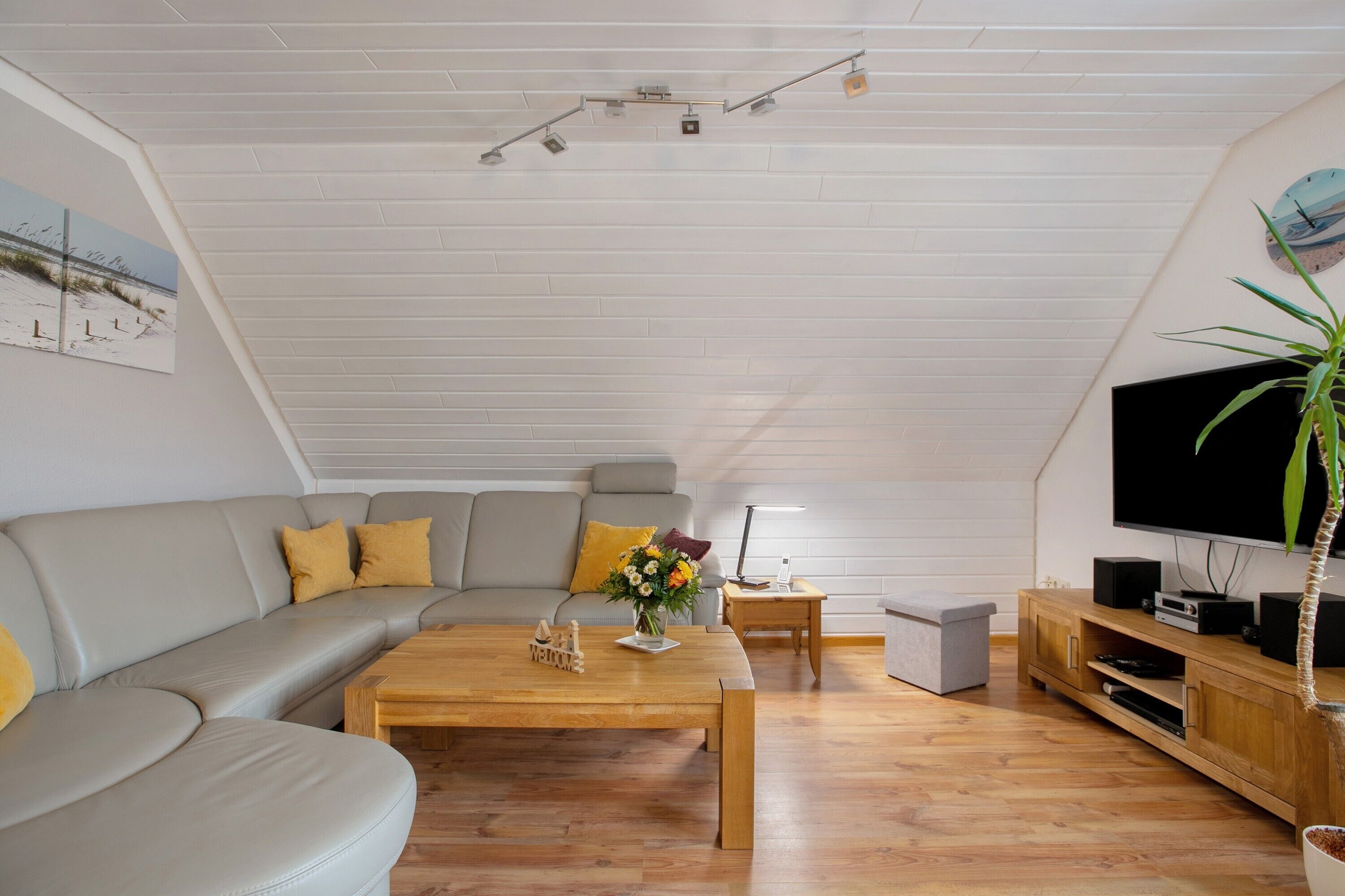 Fernseher, DVD-Player, Stereoanlage