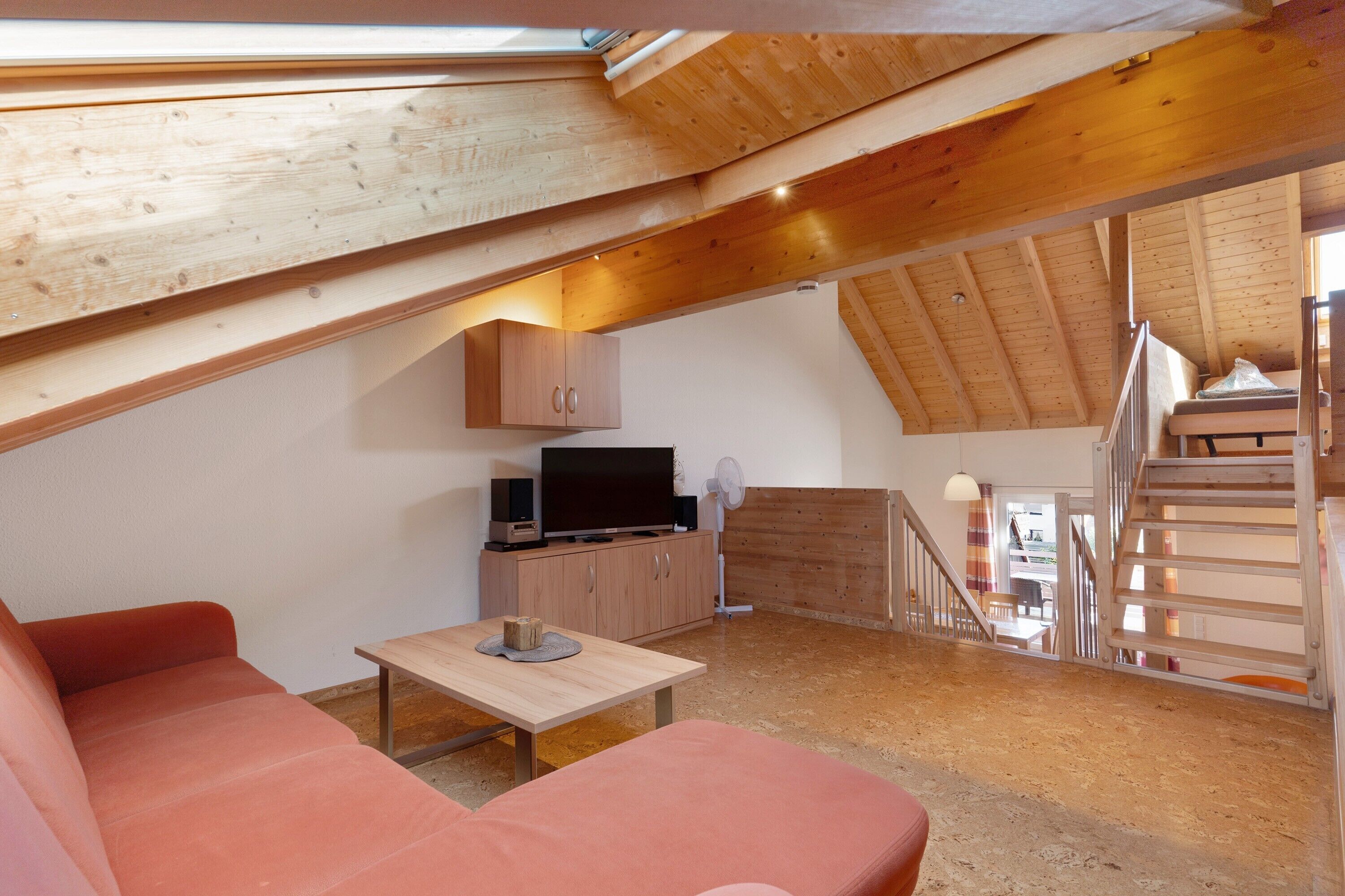 TV, DVD player, table tennis, stereo