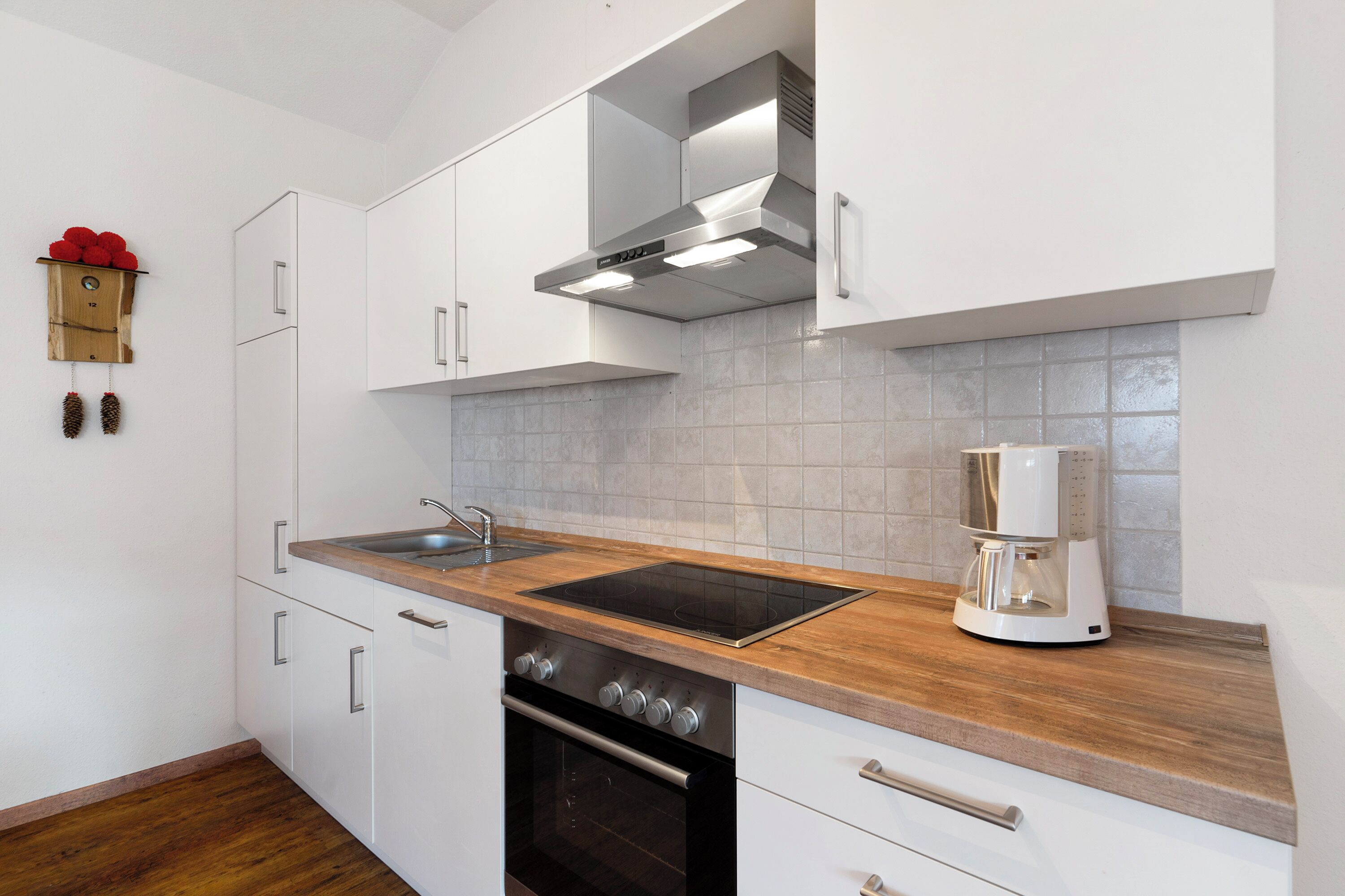 Kühlschrank, Ofen, Herdplatte, Geschirrspüler