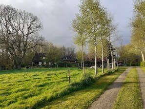 Property grounds - Apartment 'Fewo Birkenallee - Lavendel' with Private Terrace (Deinste)