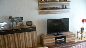 Een woonkamer met een flatscreen televisie, een houten tv-meubel en een kamerkleed met dessin.