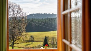 Vista dalla finestra su un prato verde, un albero e una collina lontana con linee elettriche.