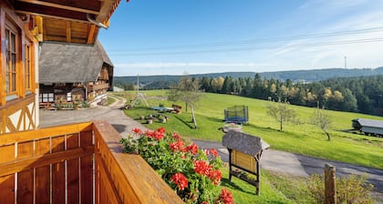 Farmhouse 'Schwarzwaldblick' with Mountain View, Private Terrace and Wi-Fi