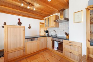 Fridge, oven, stovetop, dishwasher - Apartment 'Talblick' with Private Terrace and Wi-Fi (Hornberg)