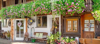 Apartment 'Talblick' with Private Terrace and Wi-Fi