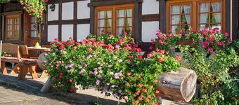 Farmhouse 'Talblick' with Mountain View, Private Terrace and Wi-Fi