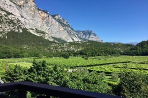 Un vignoble avec des rangées de vignes et une chaîne de montagnes en arrière-plan.