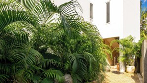 A white building with a gravel pathway, surrounded by lush green plants and a large tree trunk. - Private Pool Villa Kokos (Kiwengwa)
