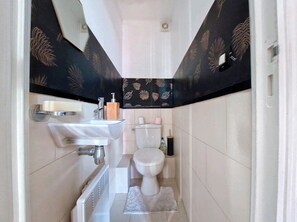 Shower, hair dryer, towels, toilet paper