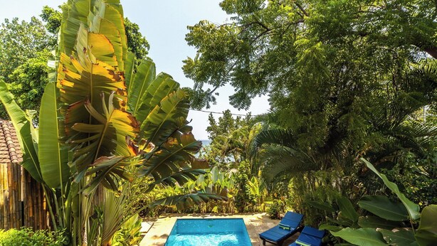 A rectangular pool with lounge chairs, surrounded by lush tropical vegetation. - Villa Seahorse, Bali - Lovina Beach Poolvilla, 2BR Joglo! (Buleleng)