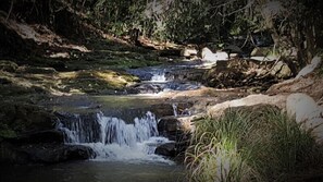Uklassifisert bilde, 5 av 42, knapp