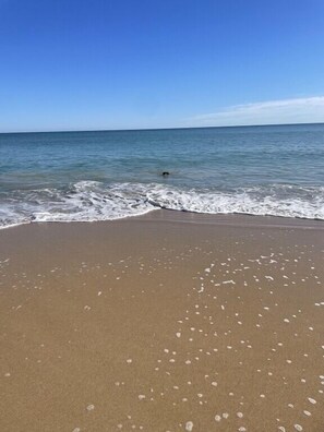 Beach nearby - Ormsby Terrace. Leave car in drive. Beach across the road. Walk to Marina / Town (Mandurah)