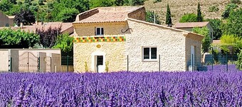 Le Pigeonnier D'adrien, Entouré de Lavande