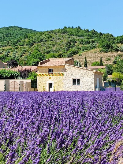 Le Pigeonnier D'adrien, Entouré de Lavande