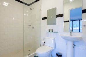 Shower, hair dryer, towels, shampoo