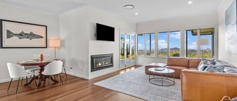 Smart TV, fireplace, books, stereo