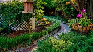 Ein Gartenweg mit Laterne, Blumentöpfen und einem weißen Zaun.