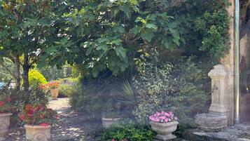 Terrein van de accommodatie