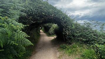 2 slaapkamers, een strijkplank/strijkijzer, wifi, beddengoed