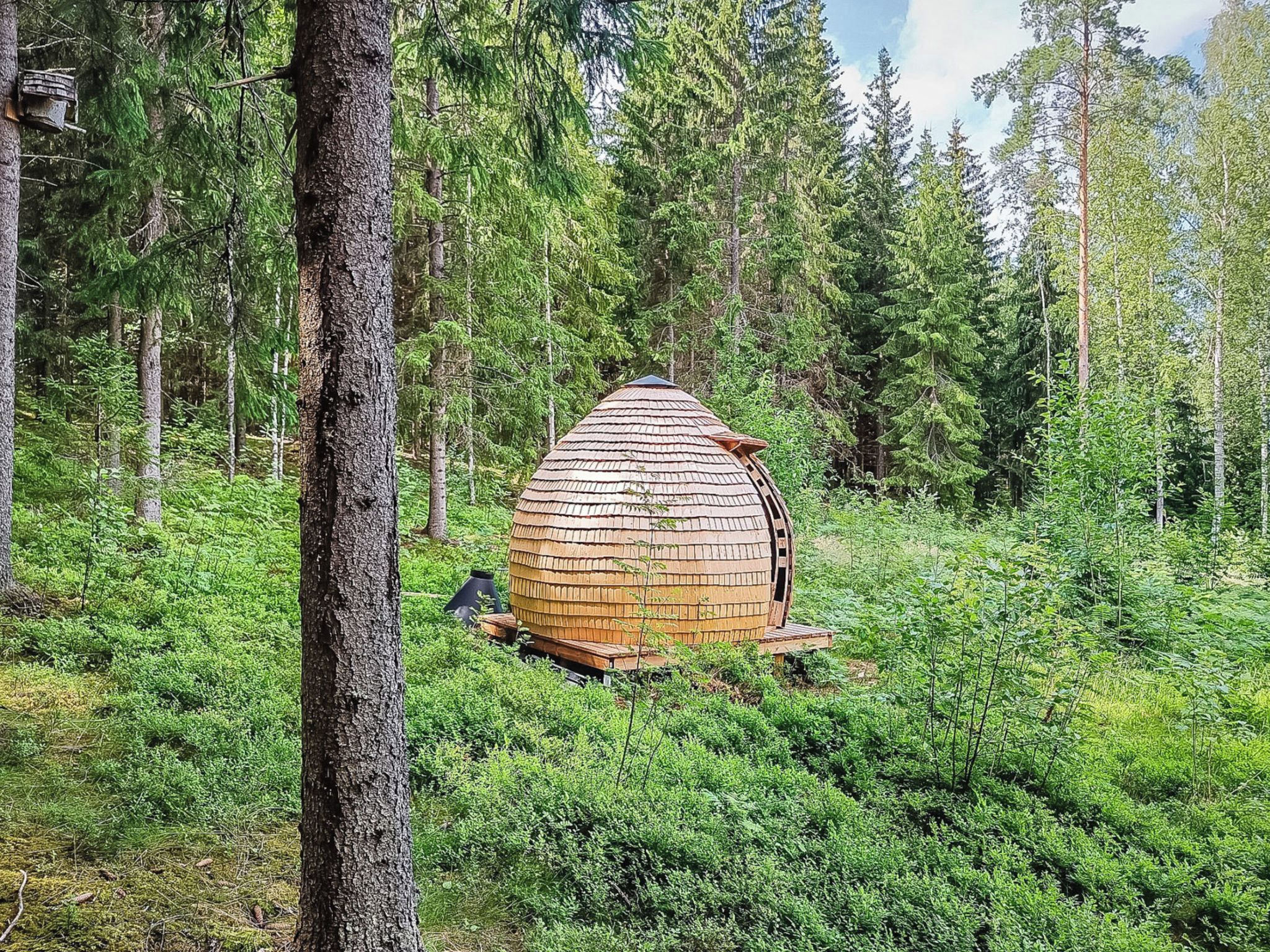 Een houten hutje in een bos.