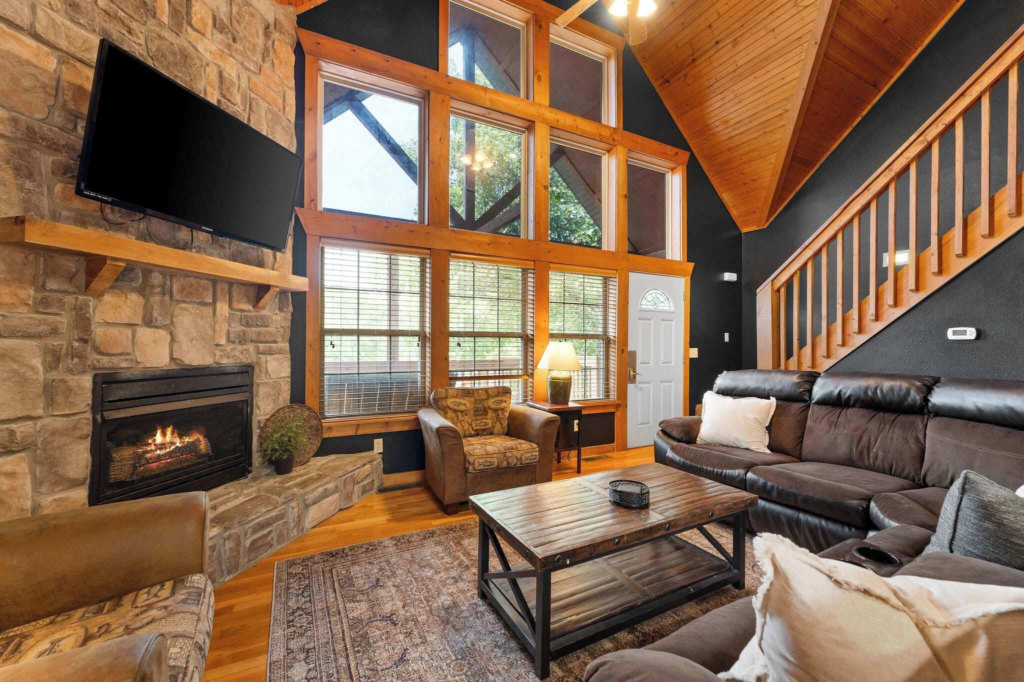 TV, fireplace, books