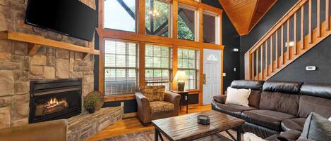 TV, fireplace, books