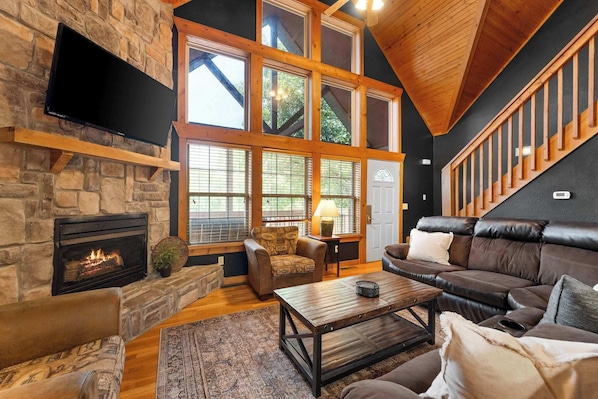TV, fireplace, books