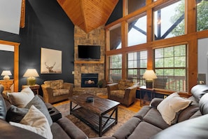 TV, fireplace, books
